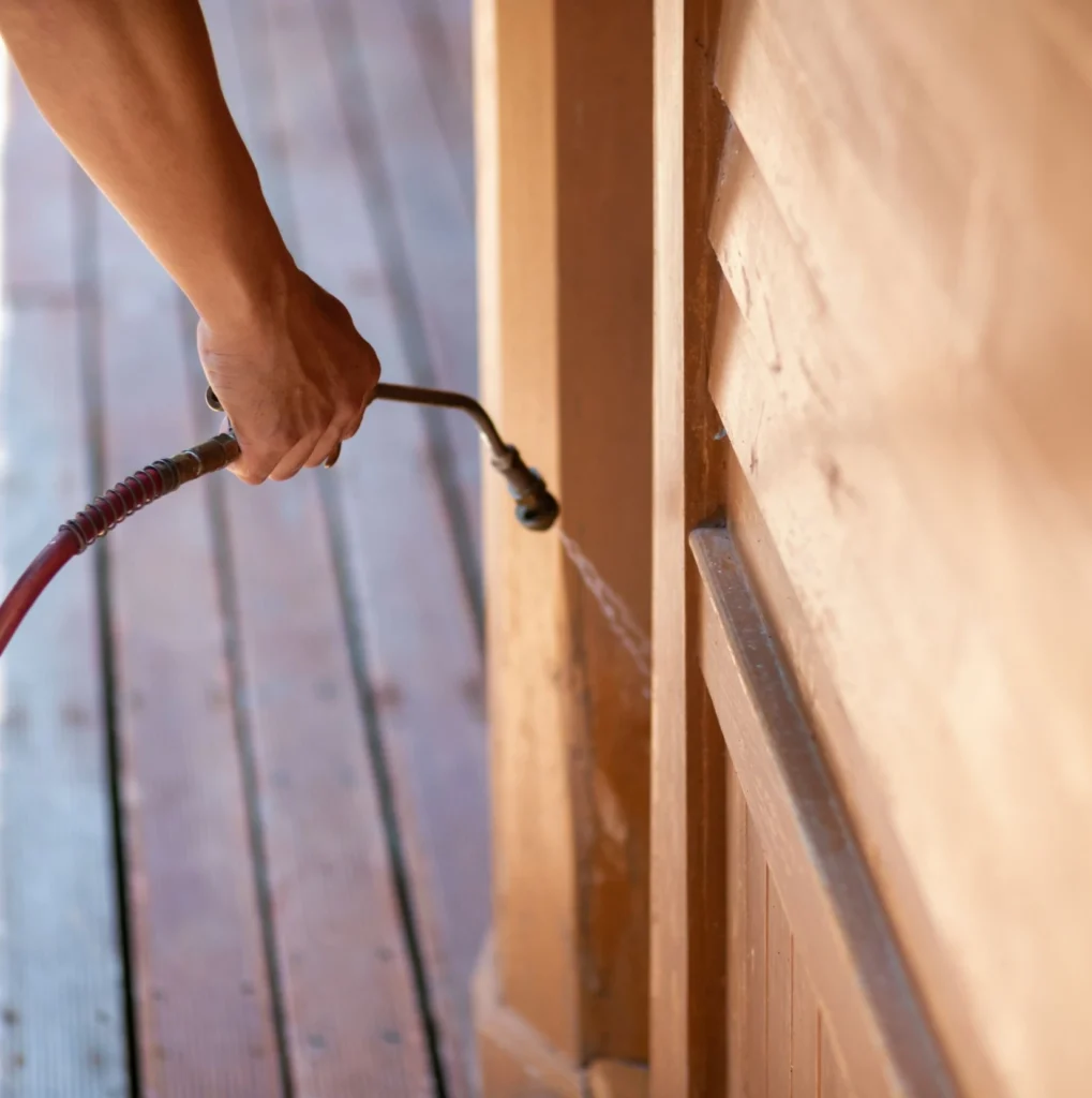 Trusted Pest Control - Banning Best Pest Pros | Banning, CA | 626-667-2996